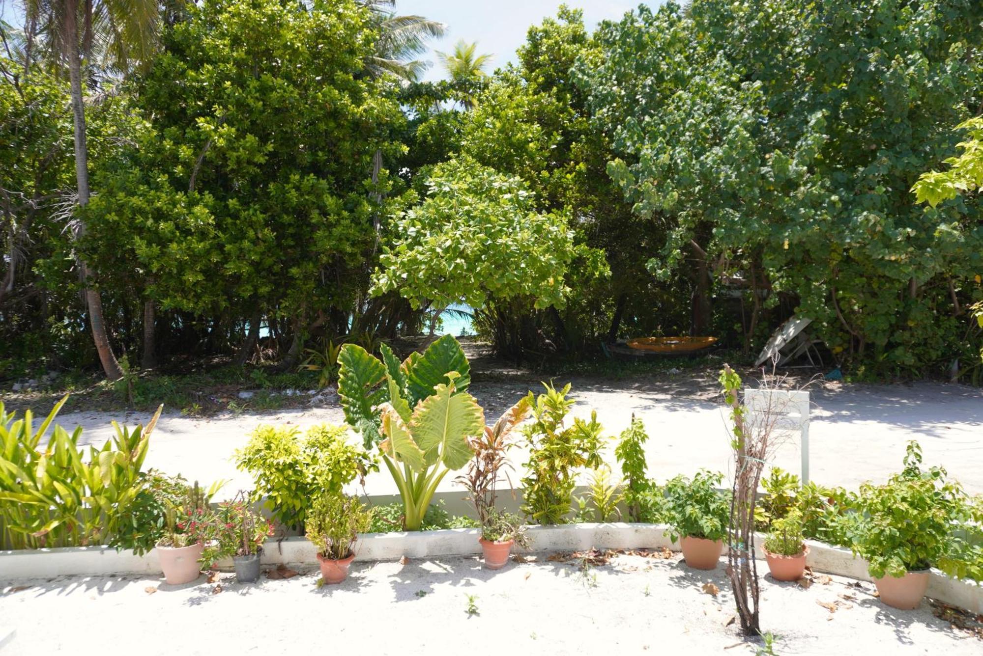 Отель Tme Retreats Dhigurah Дигура Экстерьер фото